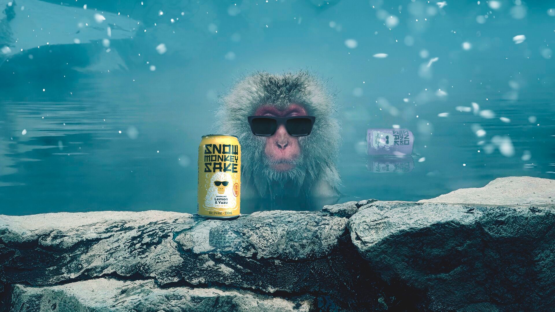 SnowMonkey_BlogImage_2.jpg